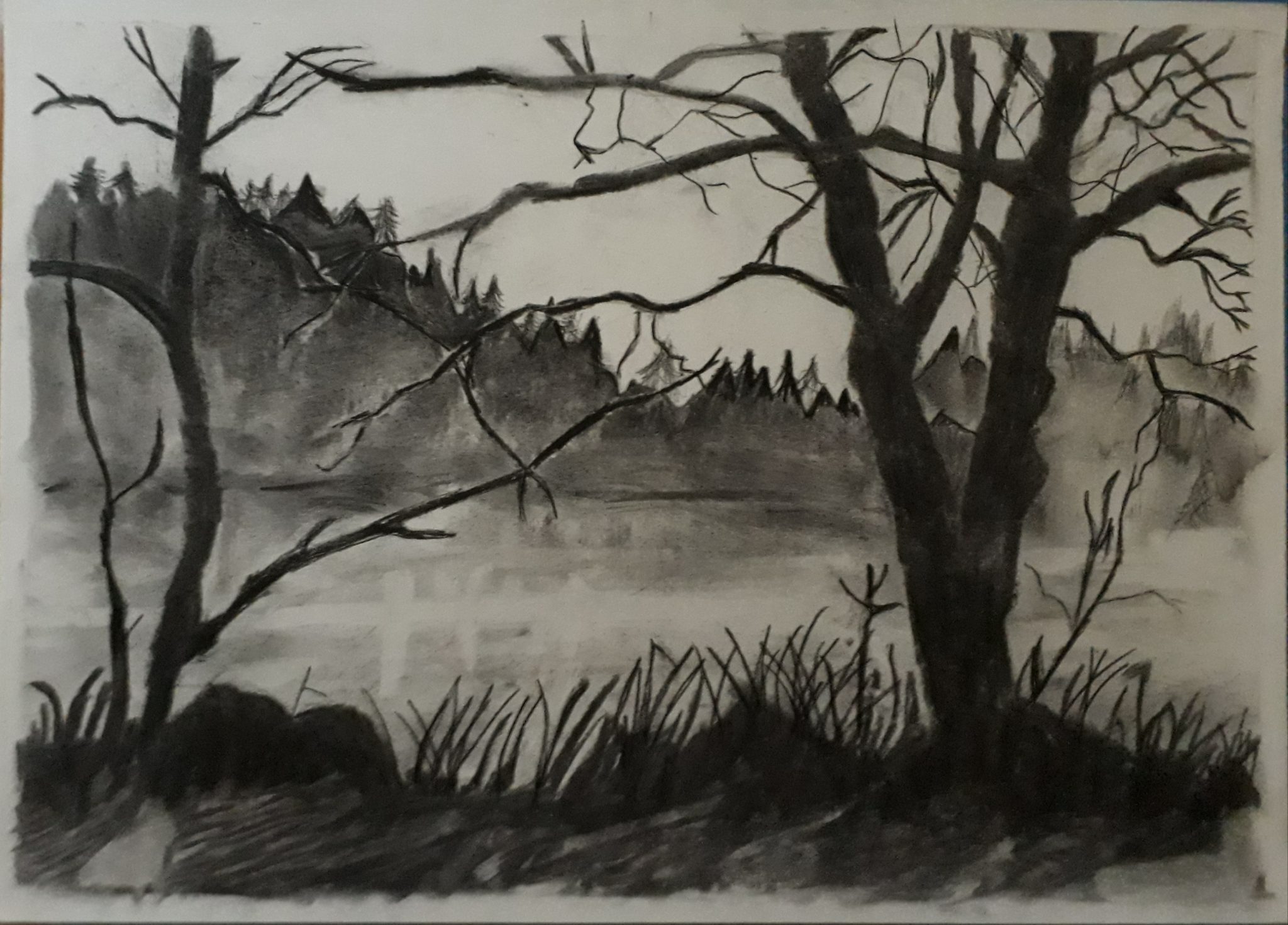 Desenhar Preto e Branco - 3 formas + desenho realista