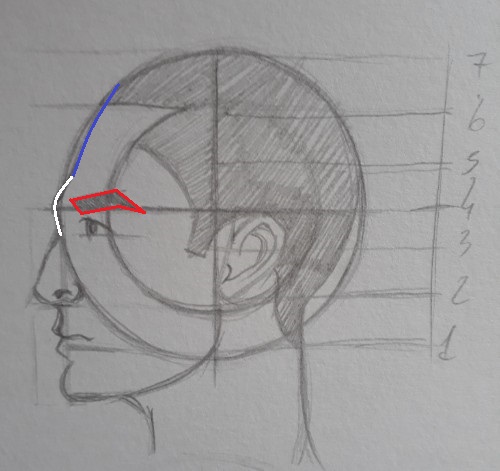 como desenhar olho e sobrancelha - Como desenhar rosto - tutorial método Loomis parte 2