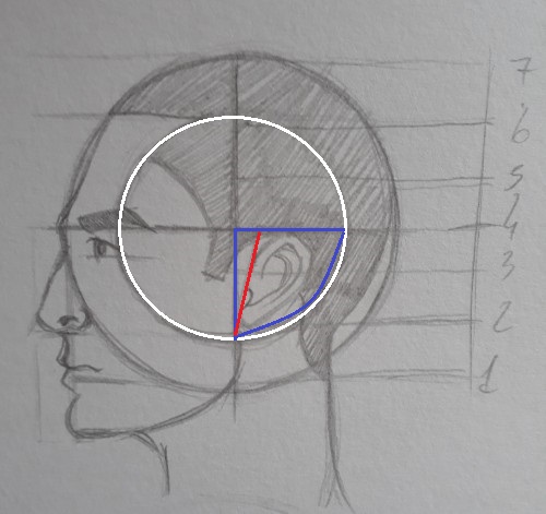 como desenhar orelha - Como desenhar rosto - tutorial método Loomis parte 2