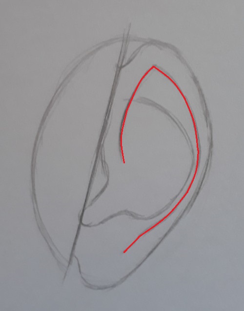 como desenhar orelha passo 5 marcado - Como desenhar orelha em 7 passos fáceis e rápidos