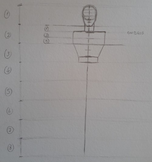 desenhar corpo passo 3 - Como desenhar o corpo humano em 8 etapas rápidas