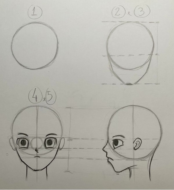 proporcoes da cabeca de anime - Como desenhar rosto de anime/mangá feminino e masculino