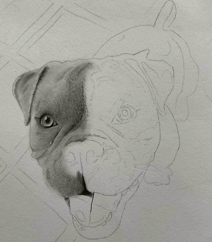 Como desenhar cachorrinho como desenhar um cachorro desenho de cachorrinho 3 - Desenho de cachorrinho realista - desenvolvimento detalhado