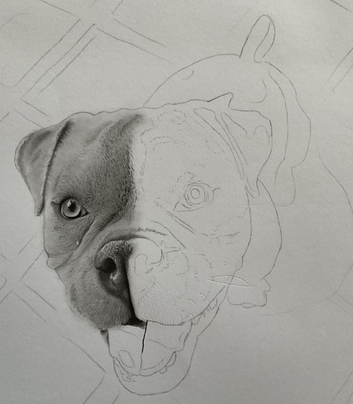 Como desenhar cachorrinho como desenhar um cachorro desenho de cachorrinho 4 - Desenho de cachorrinho realista - desenvolvimento detalhado