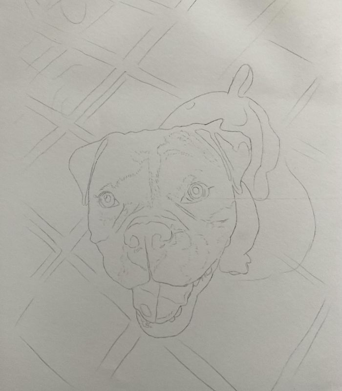 Como desenhar um cachorro esboco - Desenho de cachorrinho realista - desenvolvimento detalhado