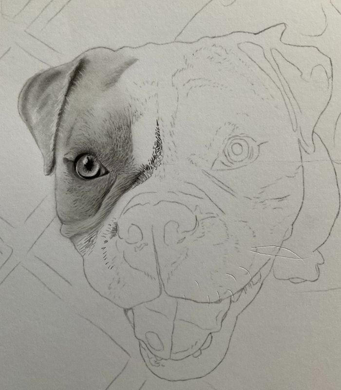 comecando a sombrear o desenho realista de cachorro 2 - Desenho de cachorrinho realista - desenvolvimento detalhado