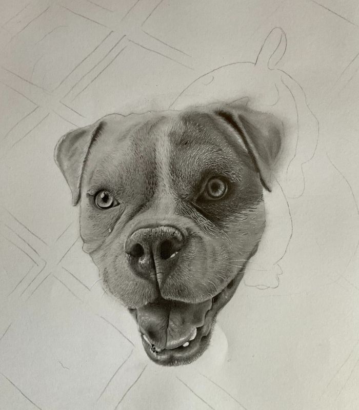 Como desenhar cachorrinho como desenhar um cachorro Bock 10 - Desenho de cachorrinho realista - desenvolvimento detalhado