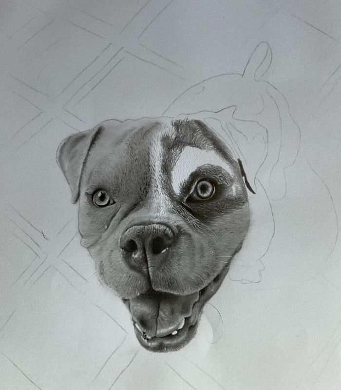 Como desenhar cachorrinho como desenhar um cachorro Bock 9 - Desenho de cachorrinho realista - desenvolvimento detalhado