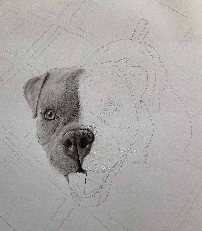 Como desenhar cachorrinho como desenhar um cachorro desenho de cachorrinho 5 - Desenho de cachorrinho realista - desenvolvimento detalhado