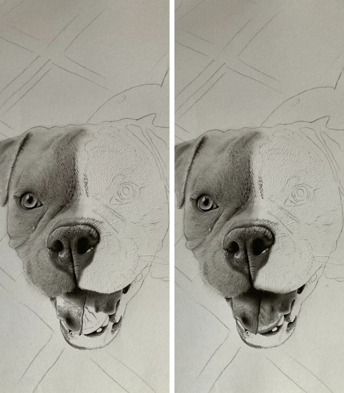Como desenhar cachorrinho como desenhar um cachorro desenho de cachorrinho 6 - Desenho de cachorrinho realista - desenvolvimento detalhado