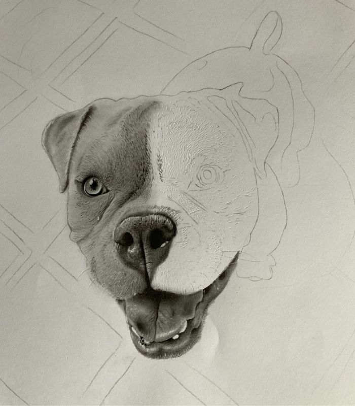como desenhar cachorrinho como desenhar um cachorro Bock 7 - Desenho de cachorrinho realista - desenvolvimento detalhado