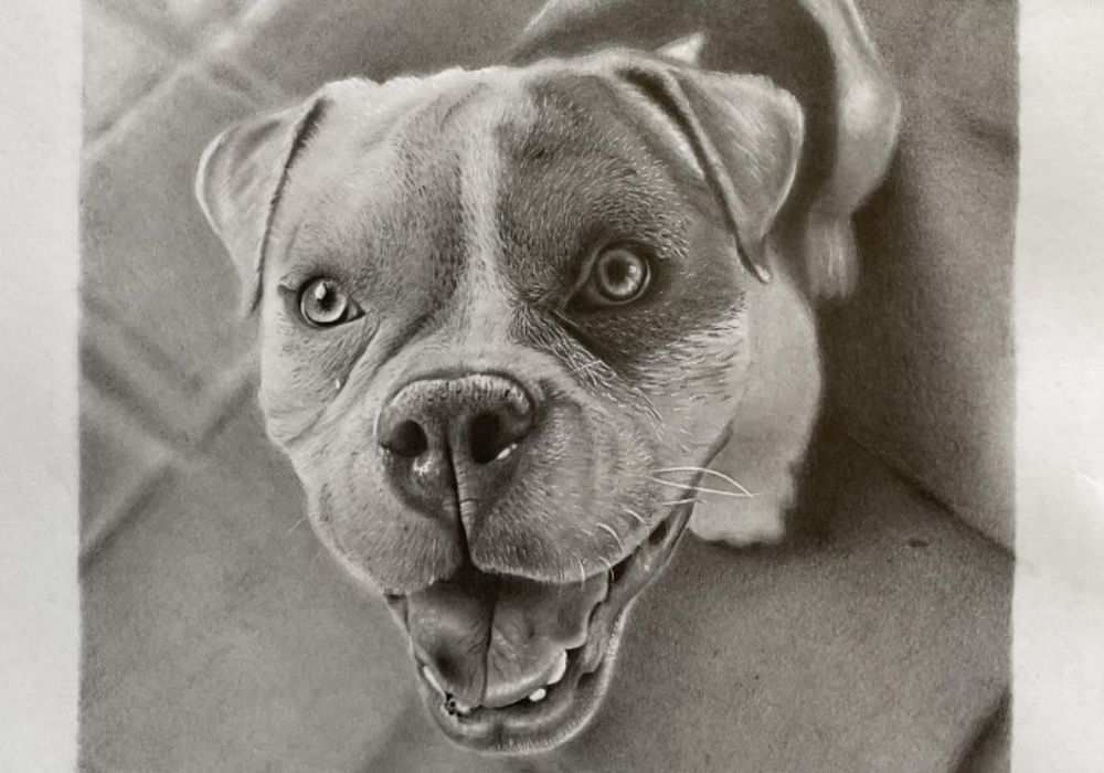 como desenhar cachorrinho - como desenhar um cachorro - desenhar cachorrinho - desenhar cachorro