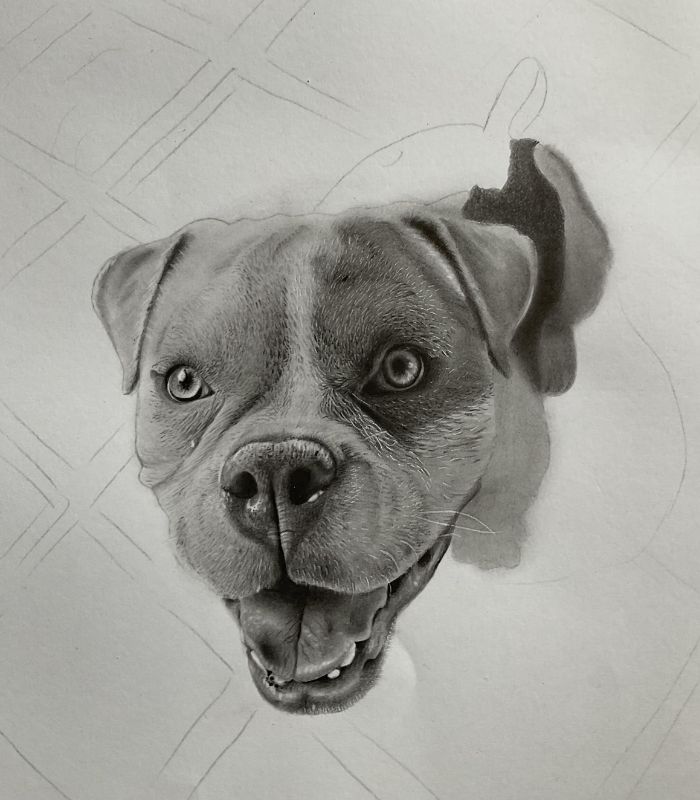 como desenhar um cachorro Bock 9 - Desenho de cachorrinho realista - desenvolvimento detalhado