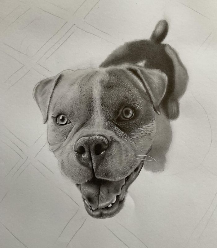 desenho de cachorrinho Bock 10 - Desenho de cachorrinho realista - desenvolvimento detalhado