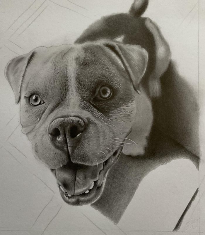 desenho de cachorrinho Bock 11 - Desenho de cachorrinho realista - desenvolvimento detalhado