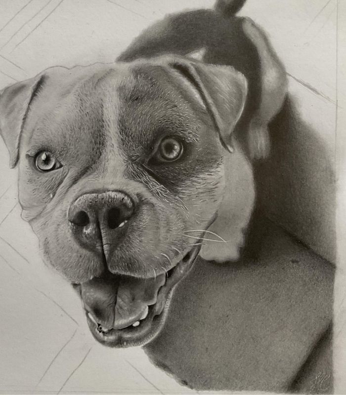 desenho de cachorrinho Bock 12 - Desenho de cachorrinho realista - desenvolvimento detalhado