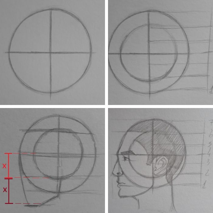 metodo loomis para desenhar cabeca de lado - Como desenhar rosto realista - Manual do desenhista parte 2