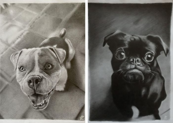 desenhos de cachorros - 21 Incríveis ideias de desenhos para inspirar sua criatividade